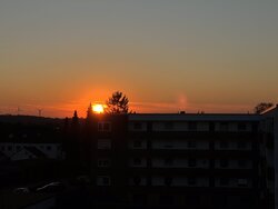 IMG_2411.JPG