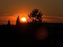 IMG_2412.JPG