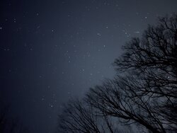 IMG_2507.JPG