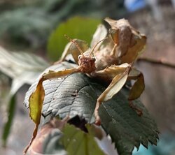 IMG_0562.jpeg