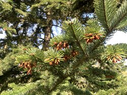 Drei Jahreszeiten auf einmal - Frühling, Sommer, Herbst Drei Jahreszeiten auf einmal - Frühling, Sommer, Herbst