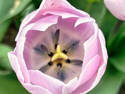 IMG_0768.jpeg