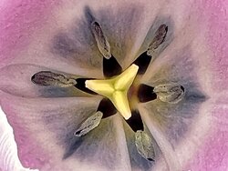 IMG_0767.jpeg