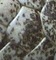 1305447904_1045ddf10c_b.jpg