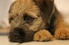 IMG_2211_new.jpg