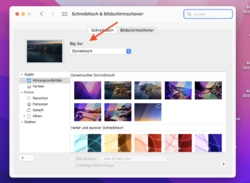 Bildschirmfoto 2022-05-17 um 12.59.00.png