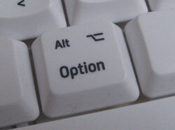 Third-party_option_key.JPG