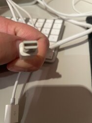 IMG_5886.jpeg IMG_5886.jpeg