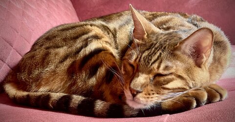 IMG_3818.JPG