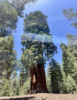 IMG_0624.JPG