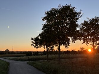 ohne Titel