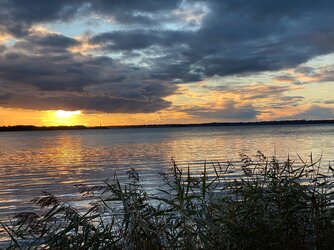 ohne Titel