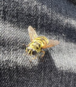 314D490B-0D95-45AA-A765-EEF1481B3710.jpeg