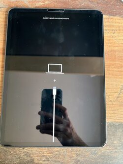 Ipad-recovery.jpg