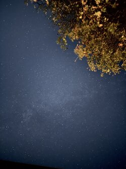 IMG_0334.JPG