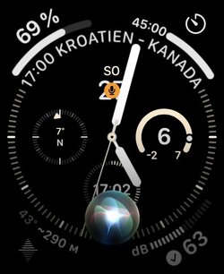 Watch_Siri.jpg