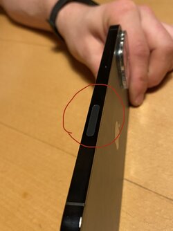 DF398A0A-8ADC-4C56-9A31-299304D58A3B.jpeg