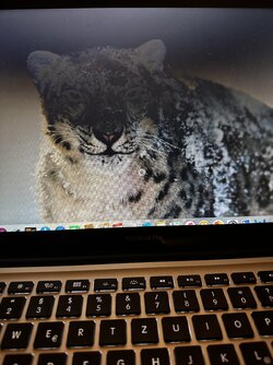 IMG_2604.jpeg