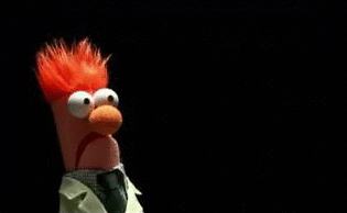 IMG_3640.gif
