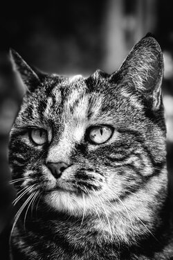 16115F49-F51E-41FE-B5C4-8881ADF7C21A.jpeg
