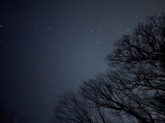 IMG_1882.JPG