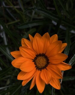 F0AE5B9E-BCE4-40DC-B40C-B3DDD41076DB.jpeg