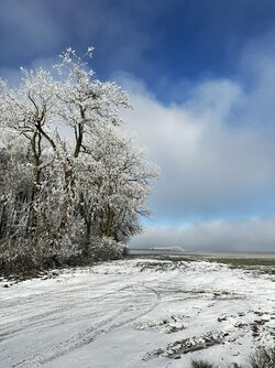 04BA0936-7F9B-4DD2-AAB0-1453F7772627.jpeg