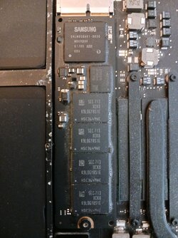20230210_104529.jpg