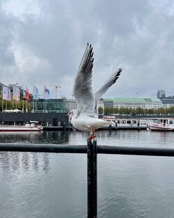 IMG_6125.jpeg