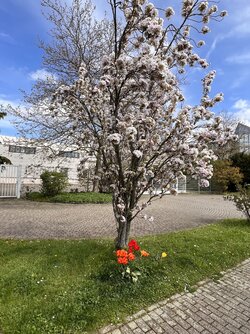 ohne Titel