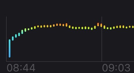 Puls_Watch_good.jpg