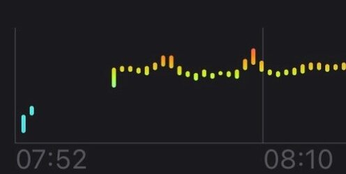 Puls_Watch_bad.jpg