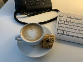 IMG_4342.jpeg