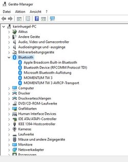 Screenshot Gerätemanager.JPG