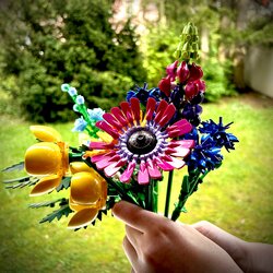 IMG_7919.jpeg