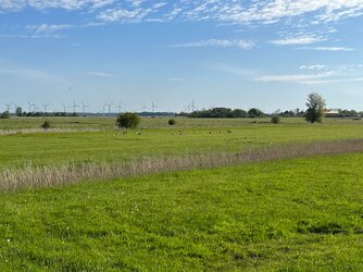 Federn in Norddeutschland
