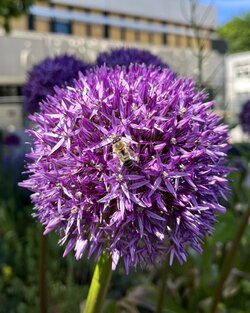 IMG_1053.jpeg
