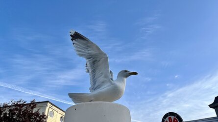 IMG_1082.jpeg