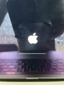 IMG_3455.jpeg