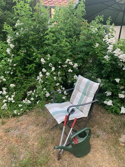 Ruheplatz mit Wildrosenduft.jpeg