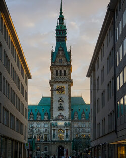 IMG_8522.jpeg