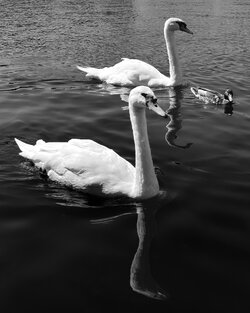 IMG_3197.jpeg