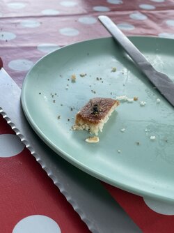 IMG_7224.jpeg
