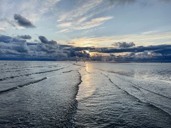 IMG_3382.jpeg