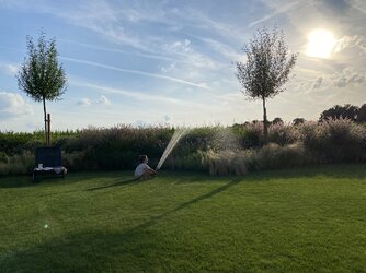Abendsonne