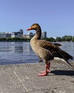 IMG_3203.jpeg