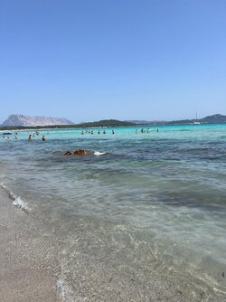 IMG_8251.jpeg