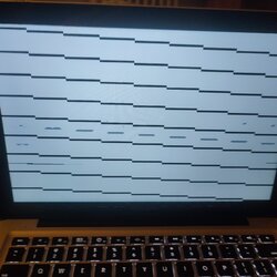 1692332729407_062536.jpg