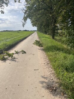 Meine endlosen heißen Deichwege