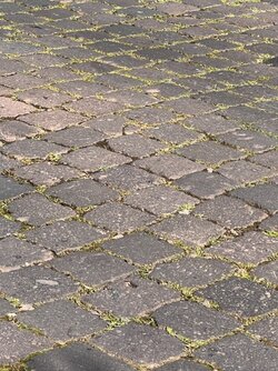 ohne Titel
